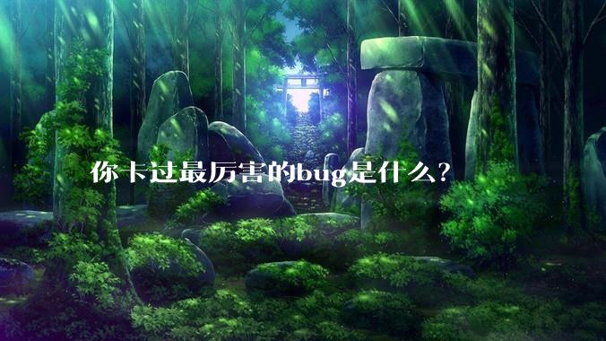 你卡过最厉害的bug是什么？